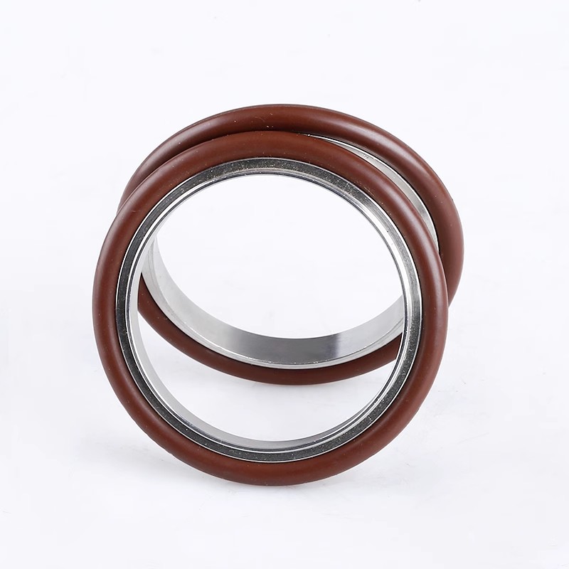 Vacuum chuck gasket